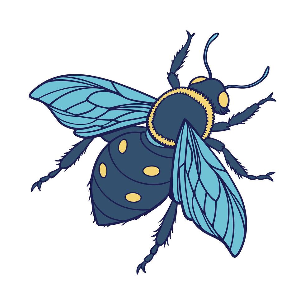 Xylocopa Caerulea on Bright White Surface vector