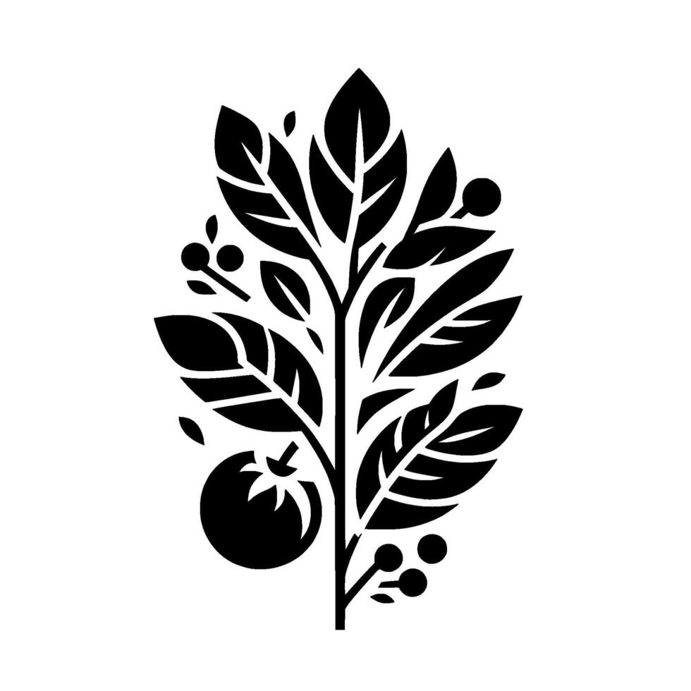 Stylized Black and White Illustration of a Tomato Plant with Berries and Lush Foliage, Isolated on White. vector