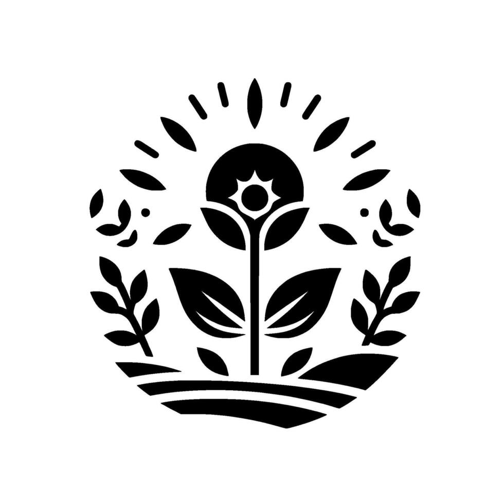 Stylized Black White Botanical Illustration Sunflowerlike Bloom with Sunburst, Leaves, and Foliage Circle on White. vector