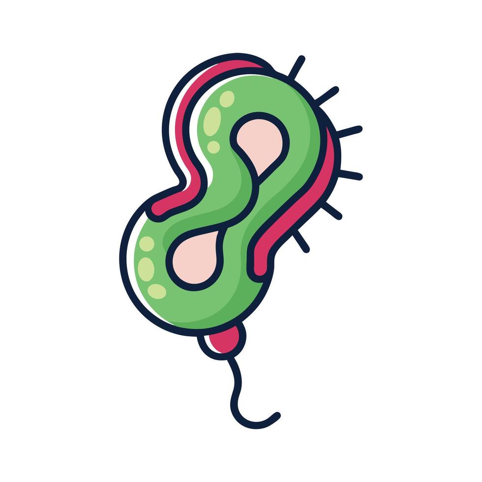 Understanding Corkscrew Shape of Syphilis Bacteria vector