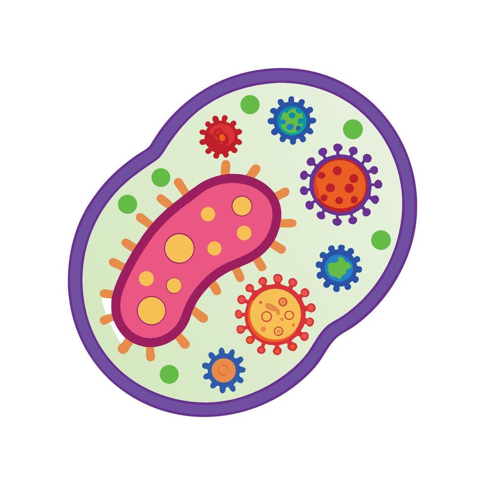 Illustration of Bacteria Causing Skin Infections vector