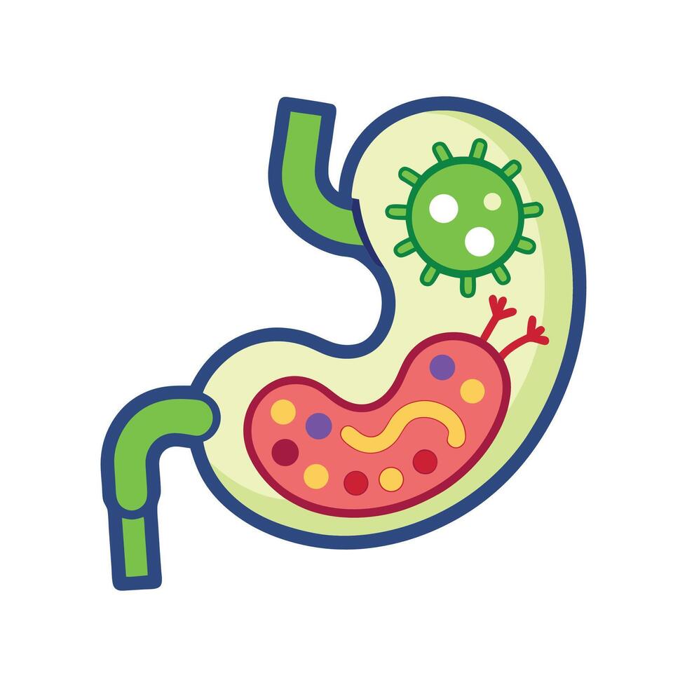 Stomach Infections Caused by Contaminated Bacteria vector