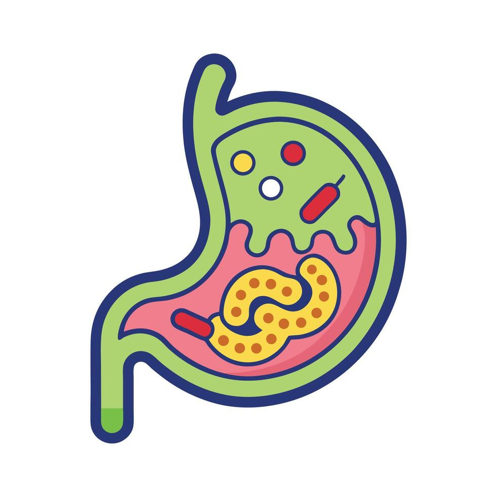Bacterial Causes of Stomach Infections from Contaminants vector