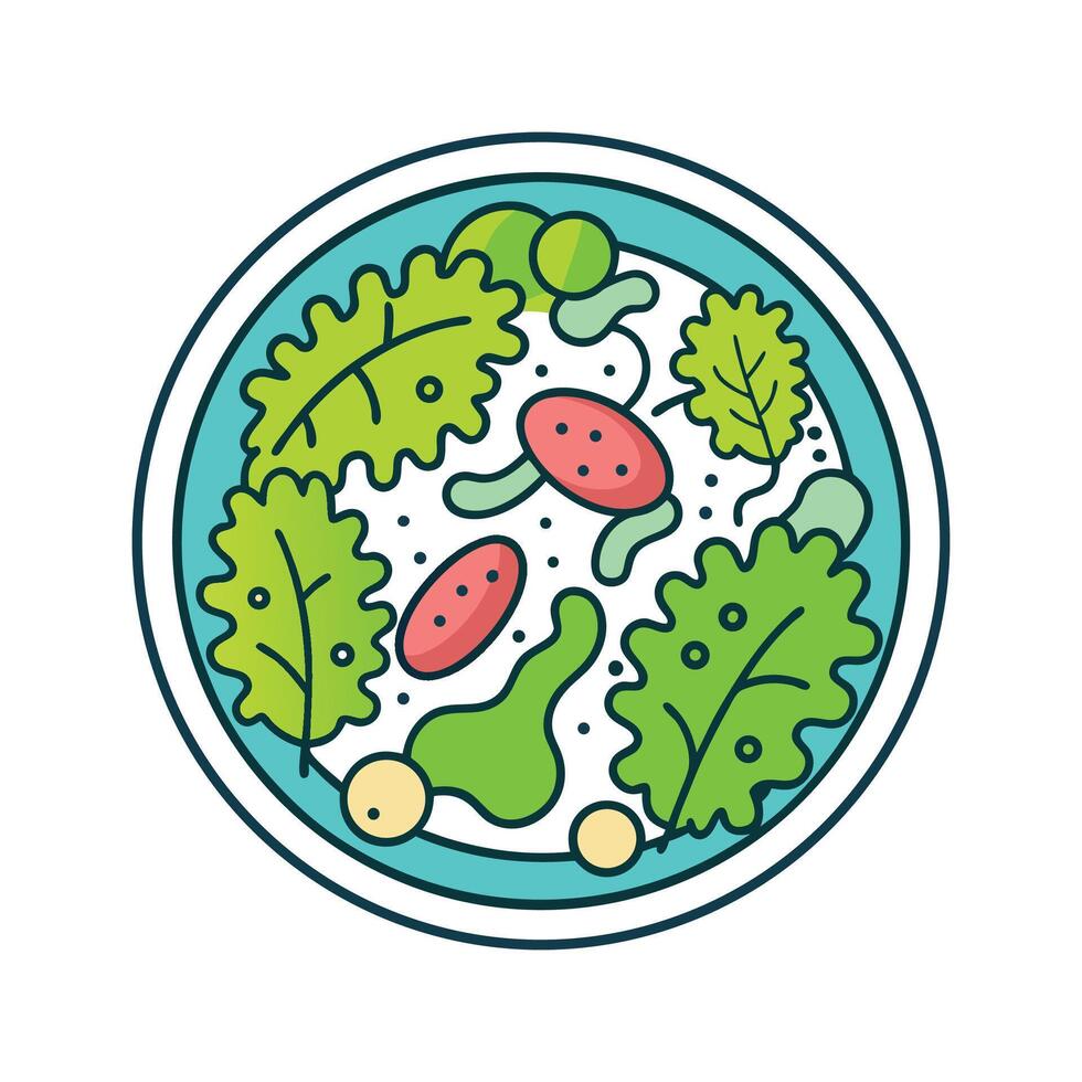 Bacteria Found in Contaminated Salad Greens vector