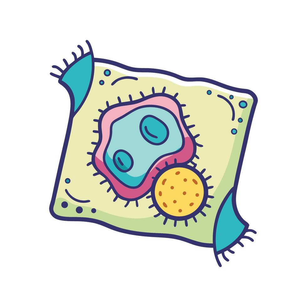 Bacteria Found in Expired Baby Wipes vector