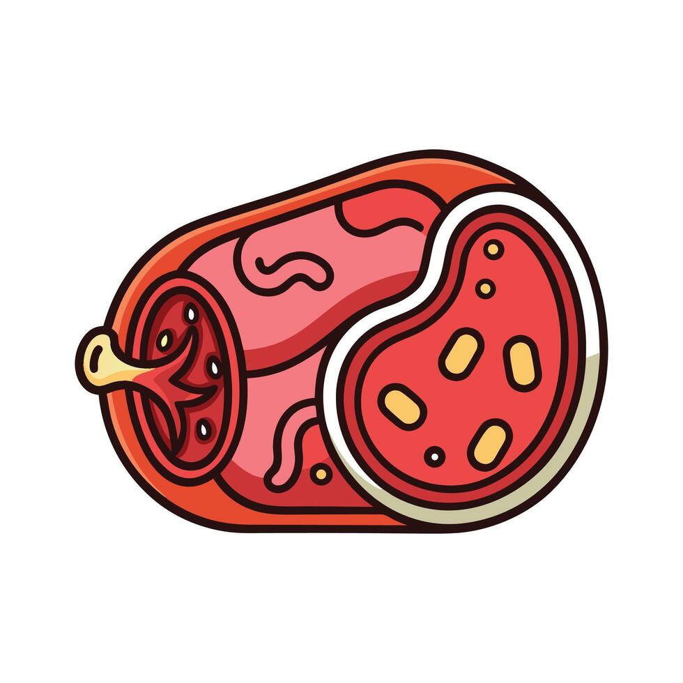 Bacteria Found in Fermented Meat Products Like Salami vector