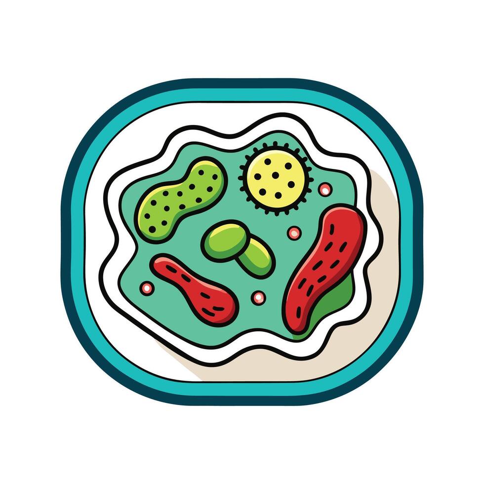 Bacteria Found in Old Dish Drying Mats vector