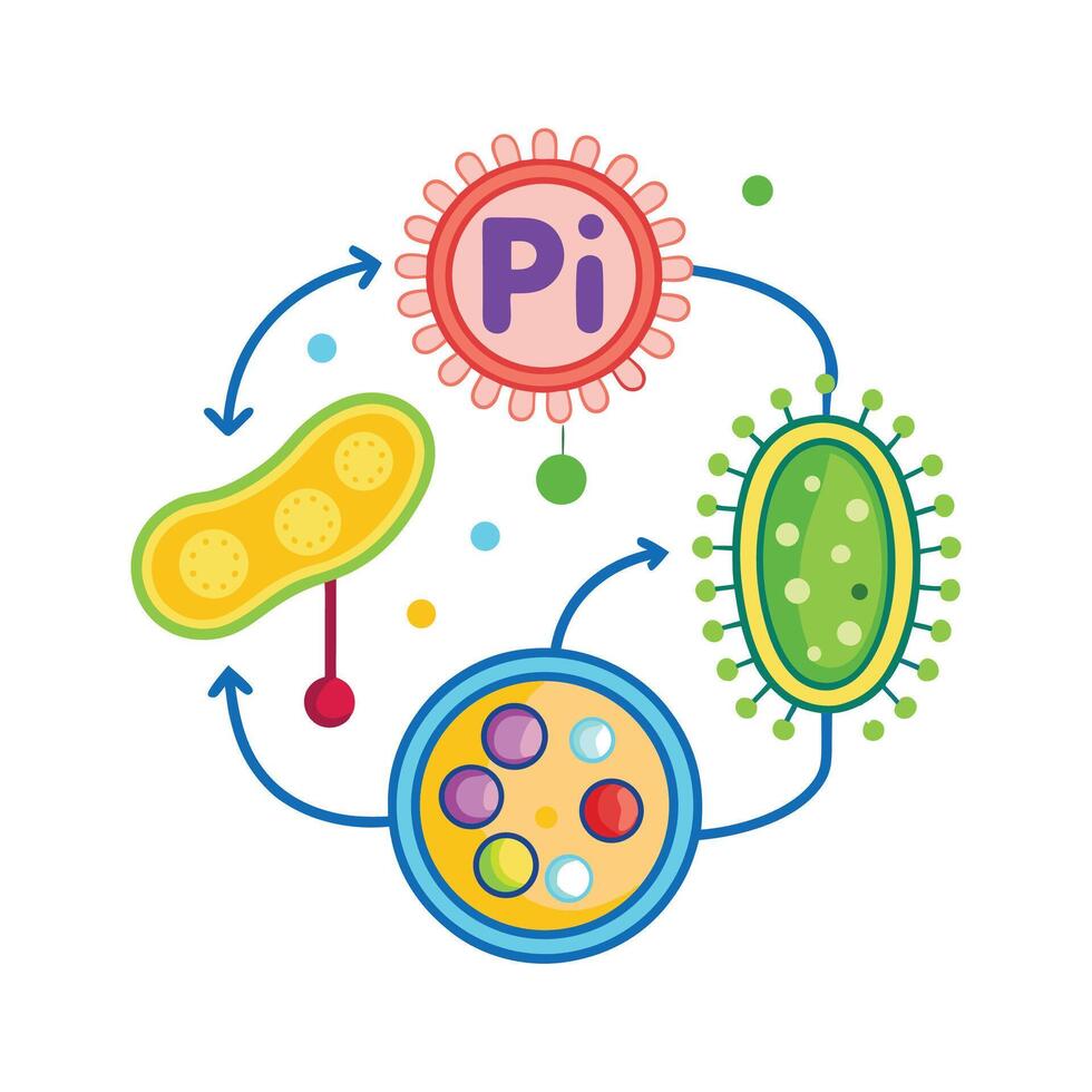 Bacterial Conjugation through Pili Exchange Mechanism vector