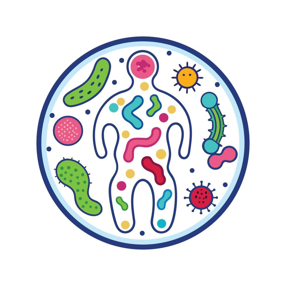 Investigating Human Skin Microbiome Bacterial Diversity vector