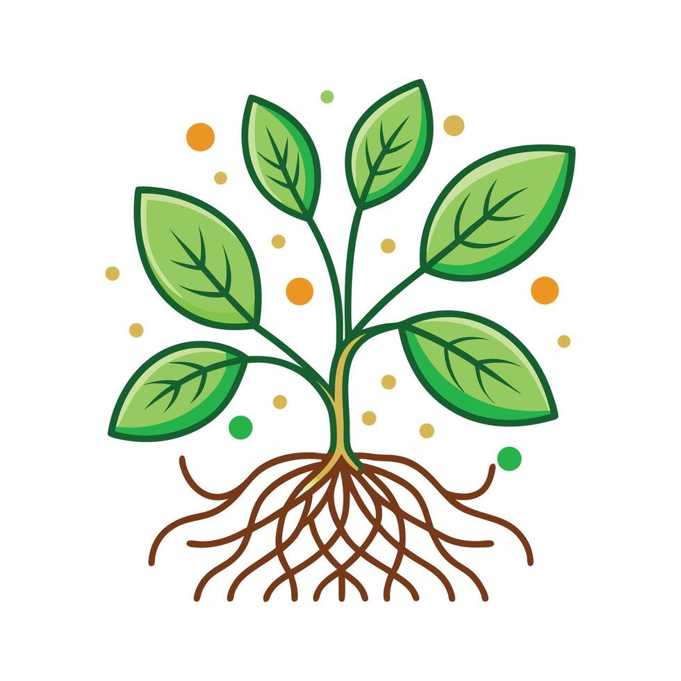Role of Beneficial Bacteria in Plant Root Systems vector