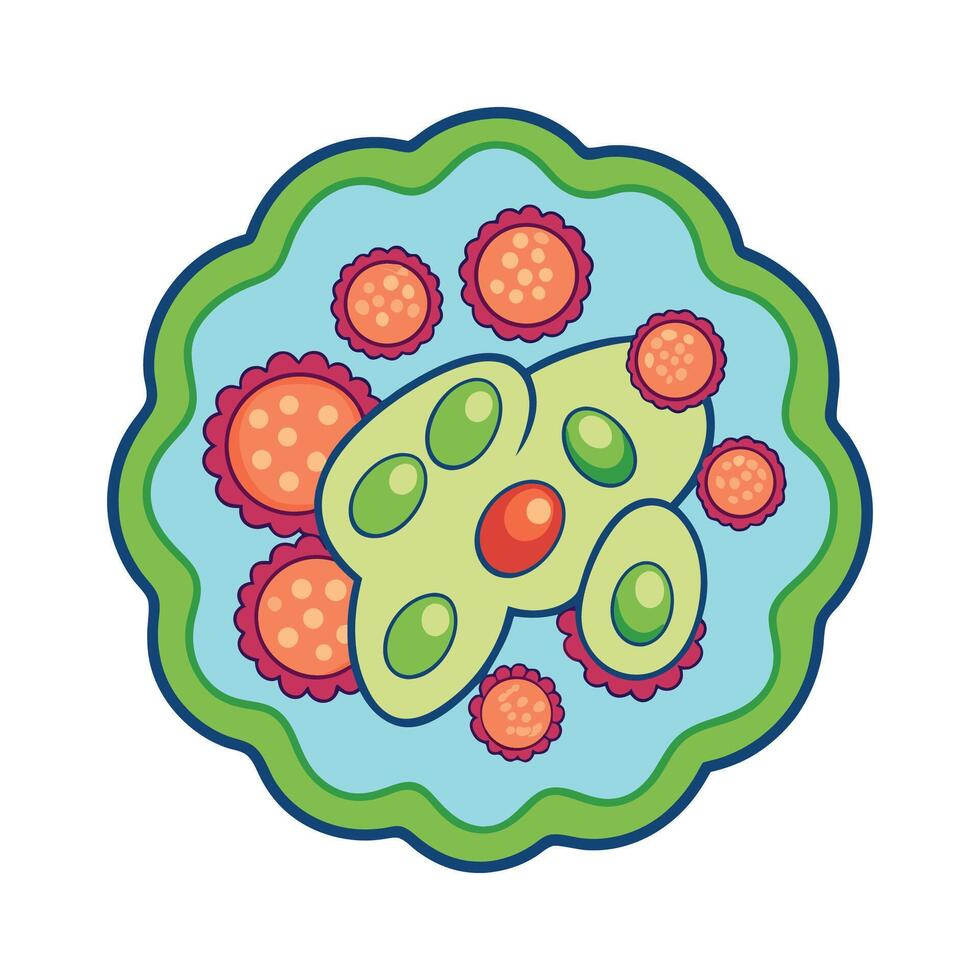 Analyzing Cluster of Cocci Bacteria Under Microscope vector