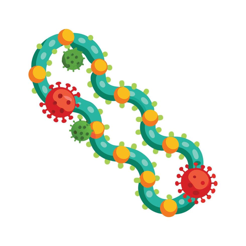 Coccus Bacteria Forming Chains in Culture vector