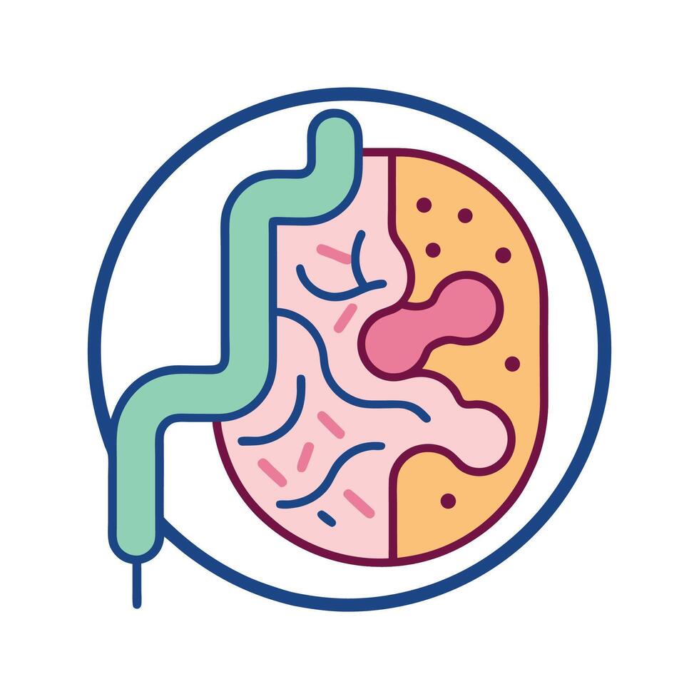 Overview of Gut Bacteria in Human Digestion vector