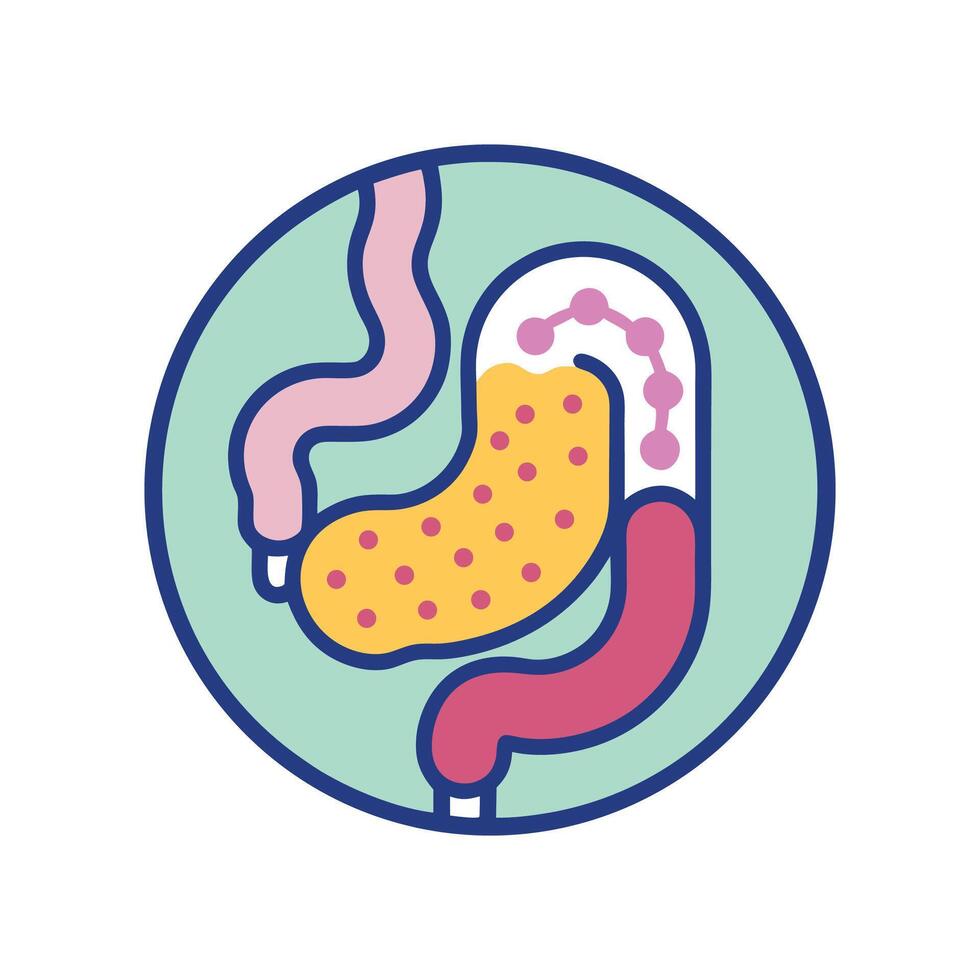 Gut Bacterias Role in Digestion Process vector