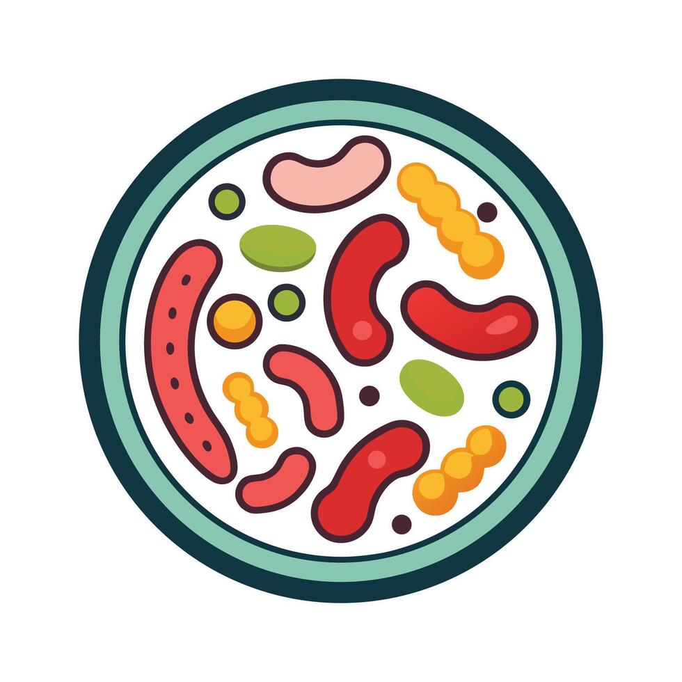 Analyzing Lactobacillus Bacteria in Food Fermentation vector