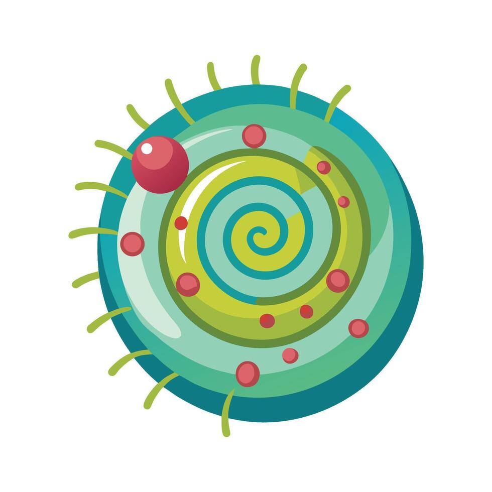 Overview of SpiralShaped Spirochete Bacteria vector