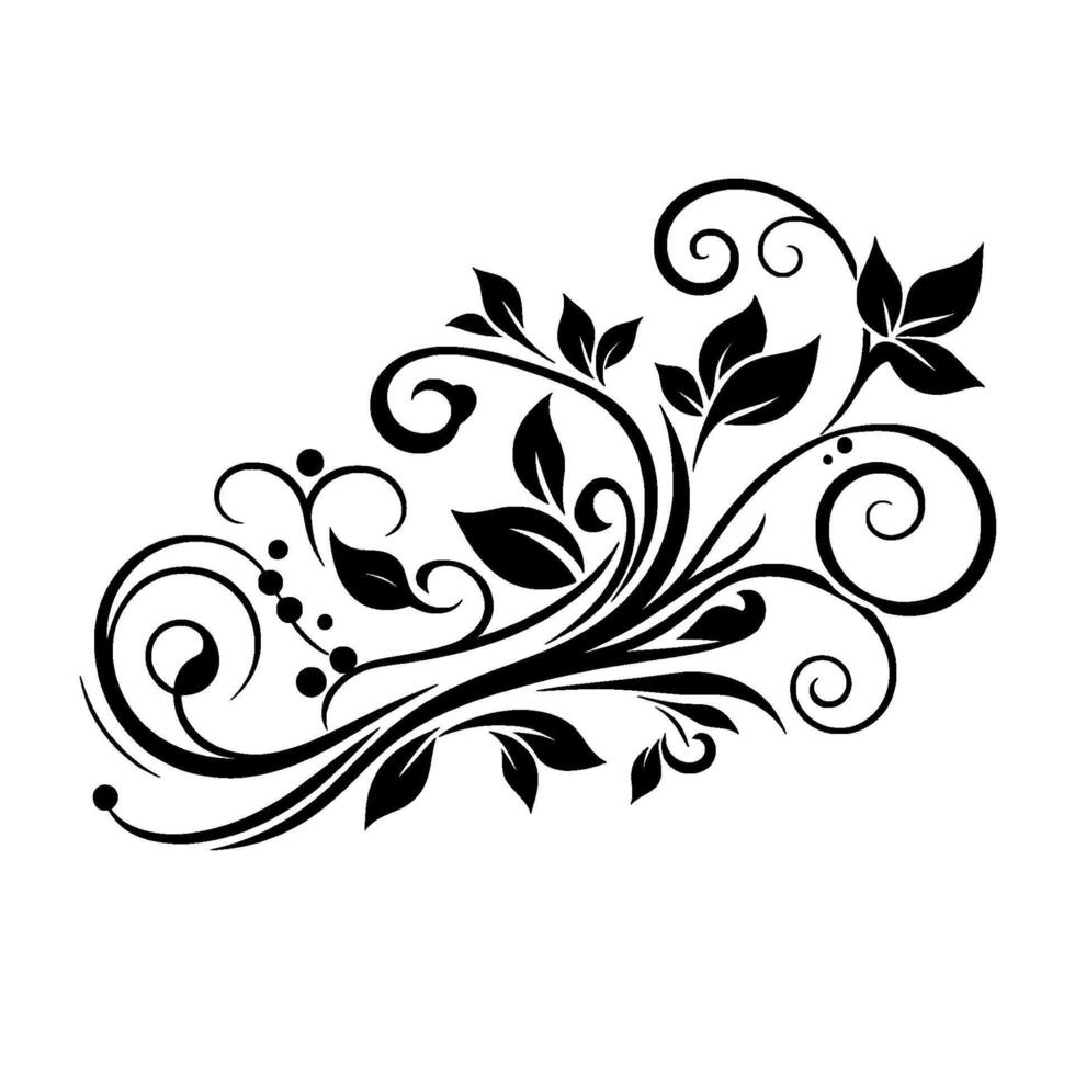 Black and White Floral Scroll with Leaves and Swirls on White Background, Illustration vector