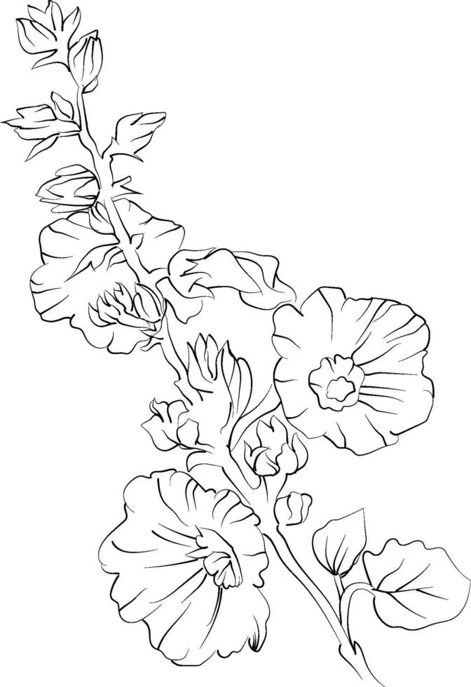 hollyhock flower drawing, simple hollyhock flower tattoo, line drawing hollyhock flower drawing vector