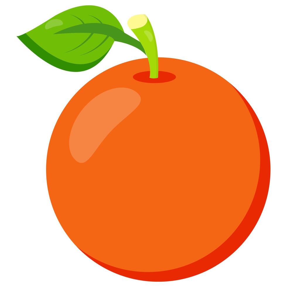 Fresh orange fruit with a green leaf isolated on white. Perfect for food packaging, healthy lifestyle concepts, organic products, juice branding, and educational materials vector