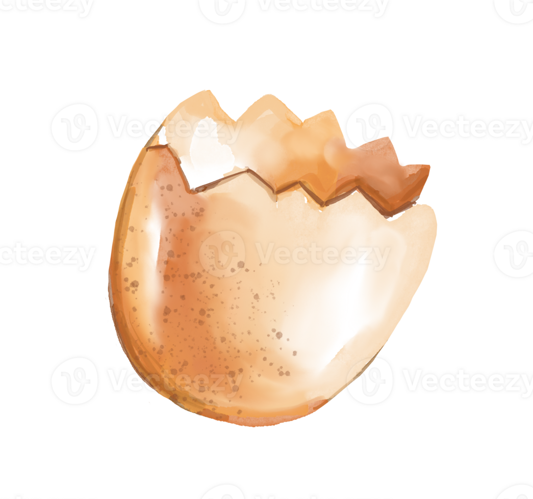 Broken eggshell. Watercolor illustration png
