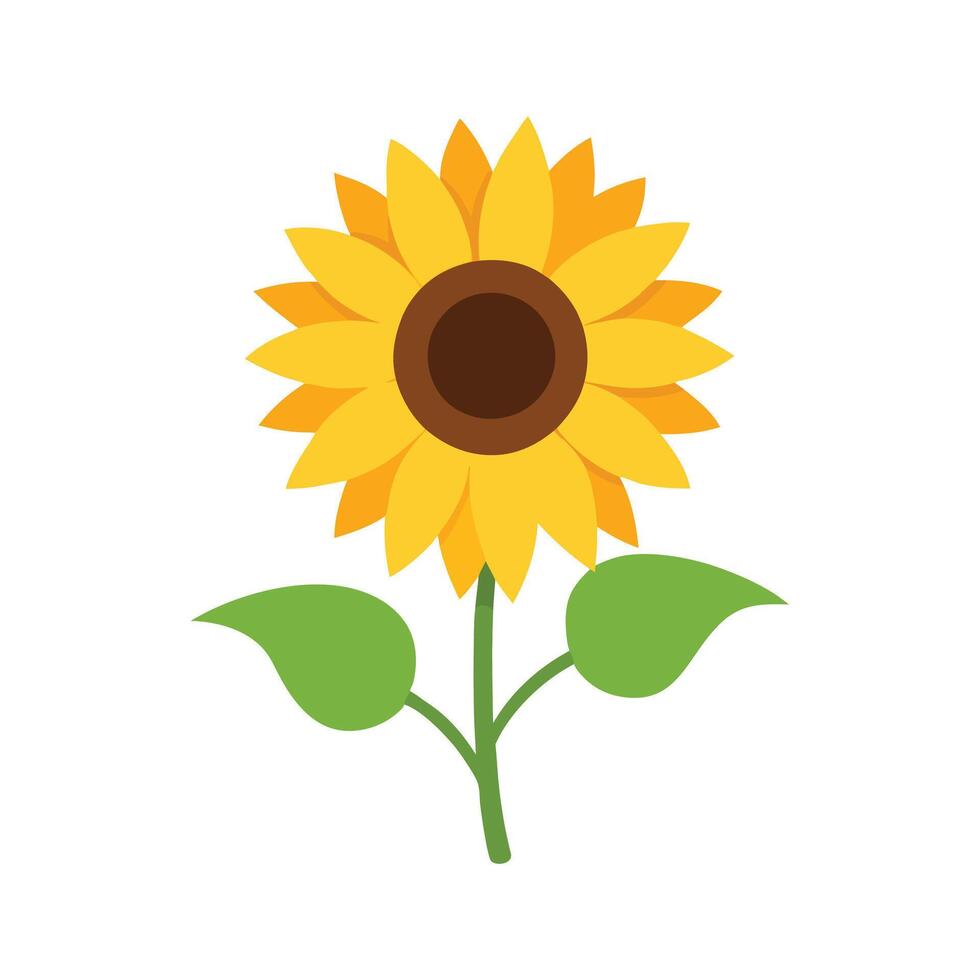 Sunflower isolated, simple vector