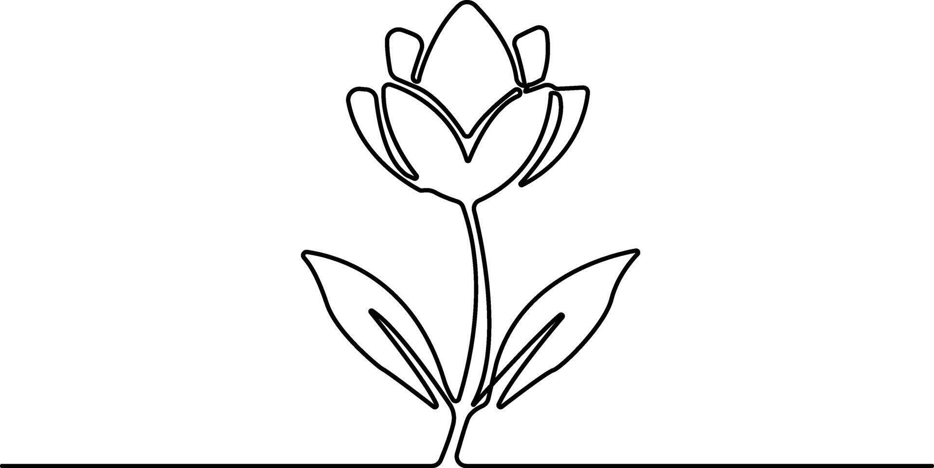 spring flower continuous one line drawing vector