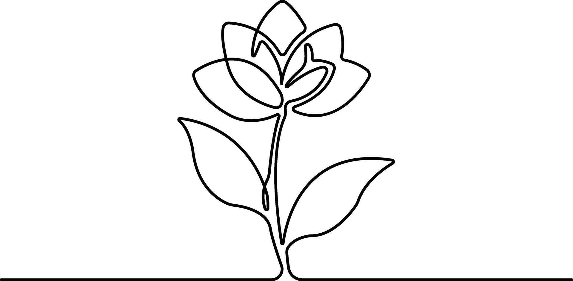 Abstract flower in continuous line art drawing vector