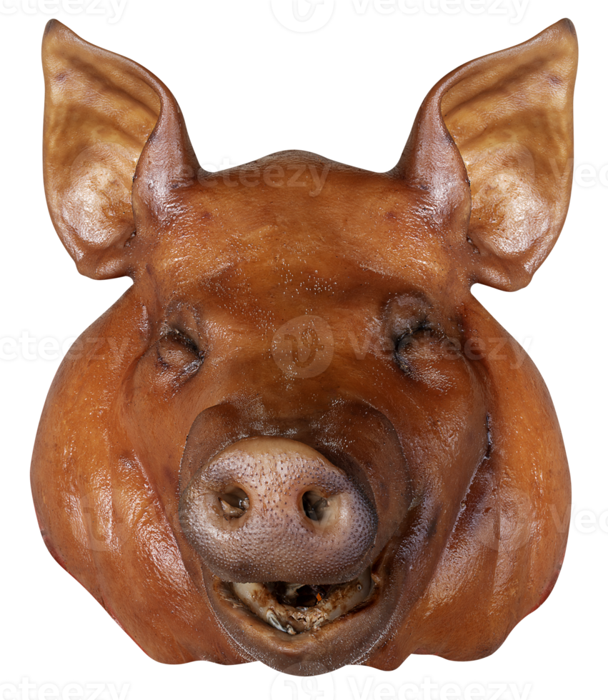 Braised pig head png