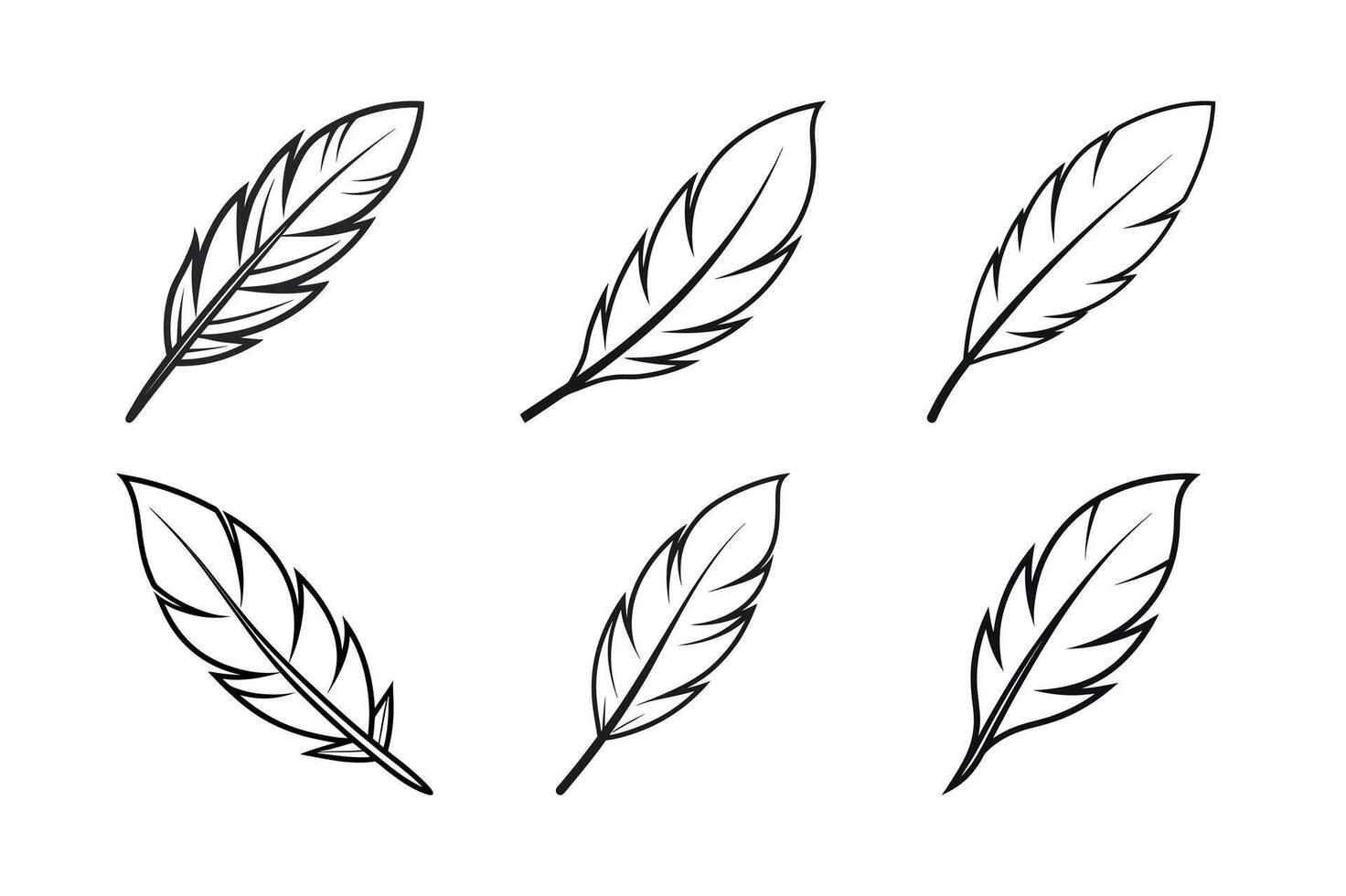 Feather Element for Branding and Web vector
