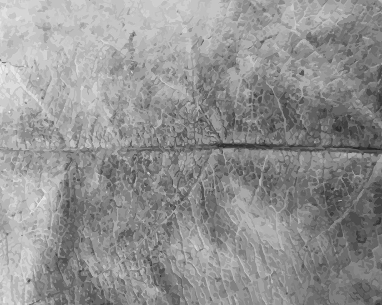 Abstract grayscale close-up of a leaf with visible veins and texture. Nature-inspired digital background for design and print vector