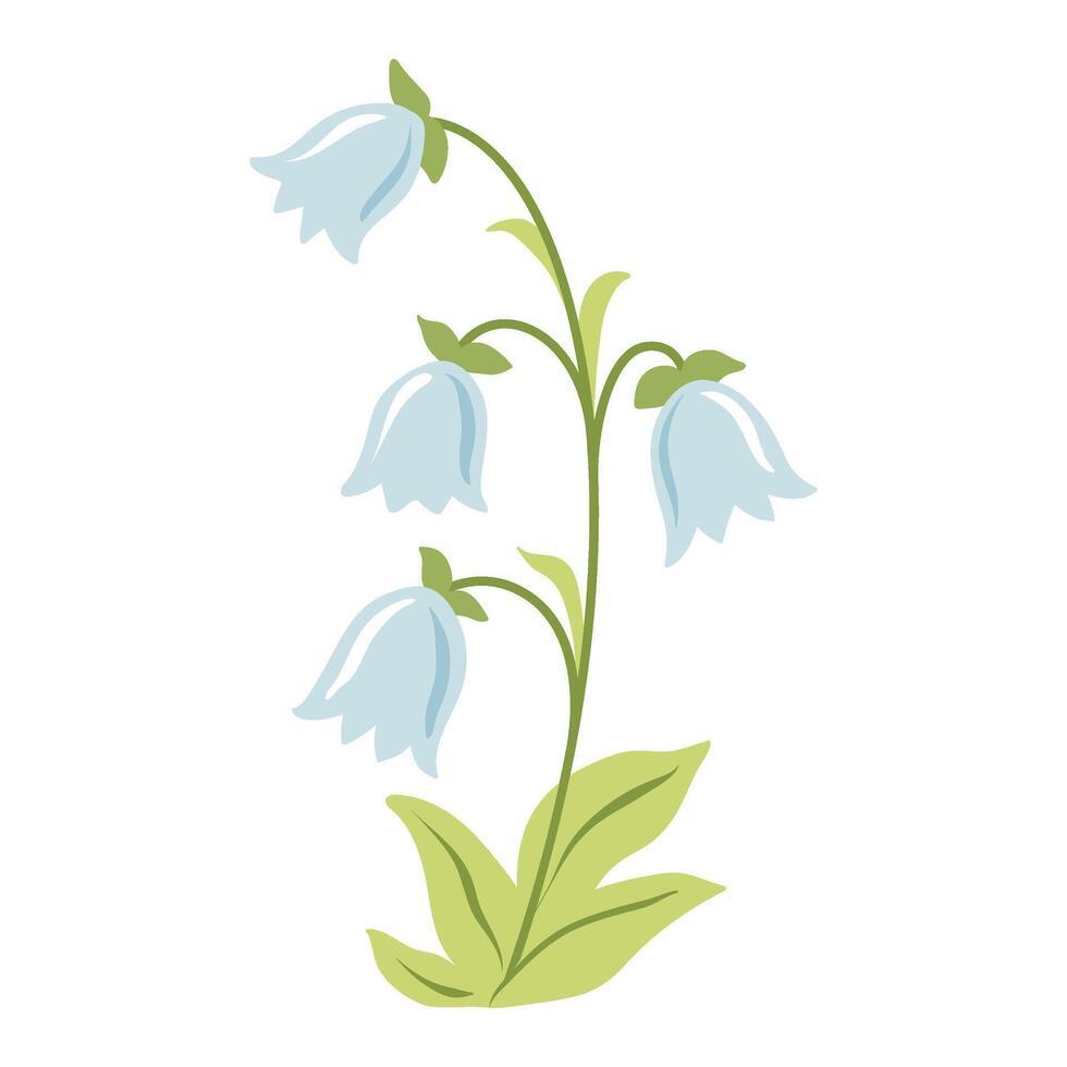 Blue bell flower. Spring bluebell flower for springtime holidays greeting card, banner, Mothers day or easter postcard, pattern. Gentle botanical floral cartoon illustration on white background vector