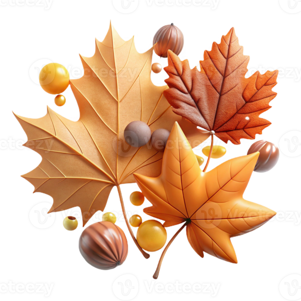 vibrant contemporary Autumn Leaves Maple Isolated for Thanksgiving Design genuine png