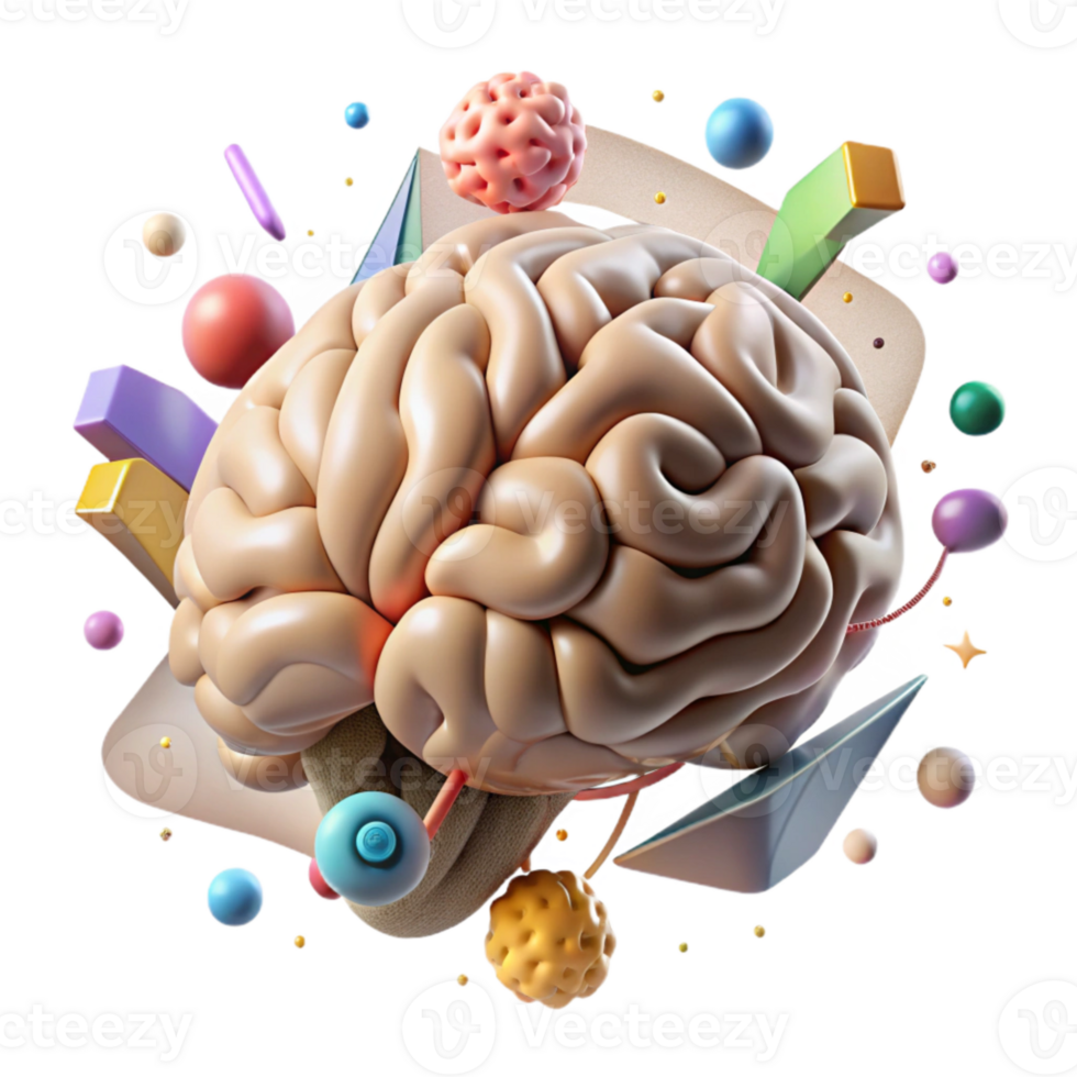 vibrant minimalist Brain Anatomy Neuroscience Cutout for Medical Research authentic png