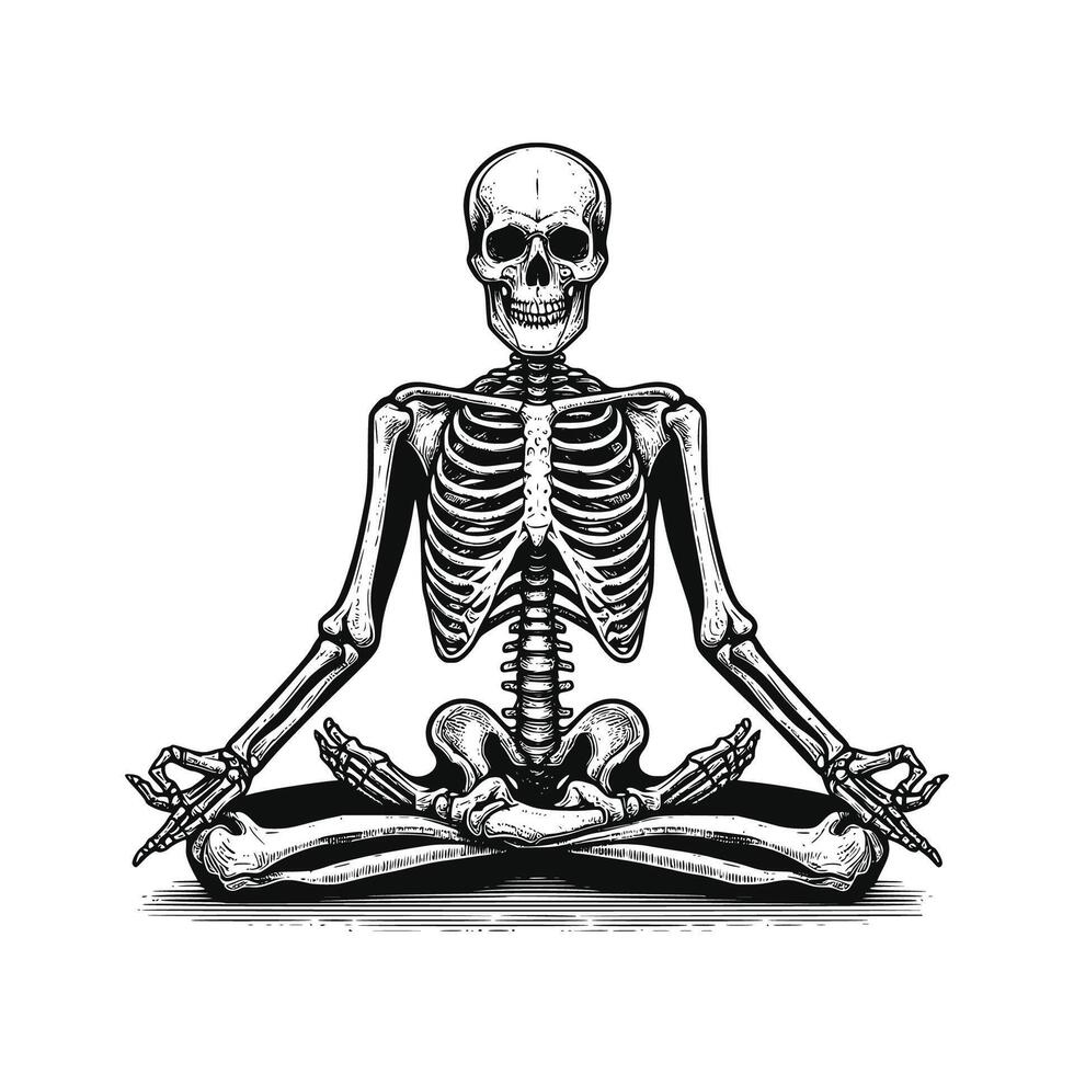 illustration of Skeleton in yoga position black and white line art drawing vector