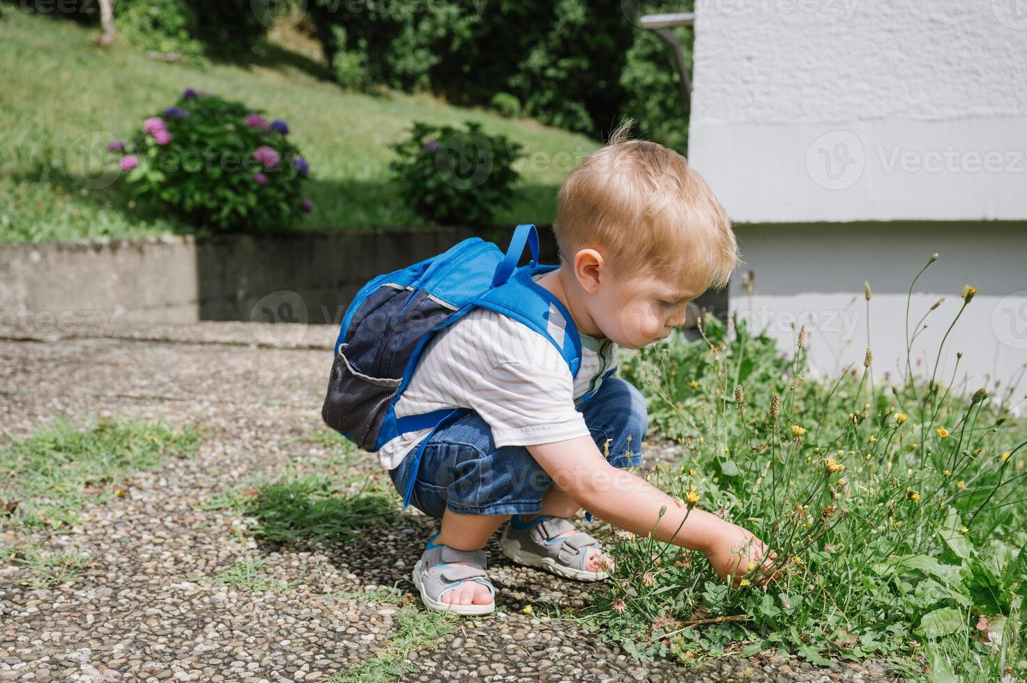 Adorable child sitting with backpack on ground and playing with plants photo
