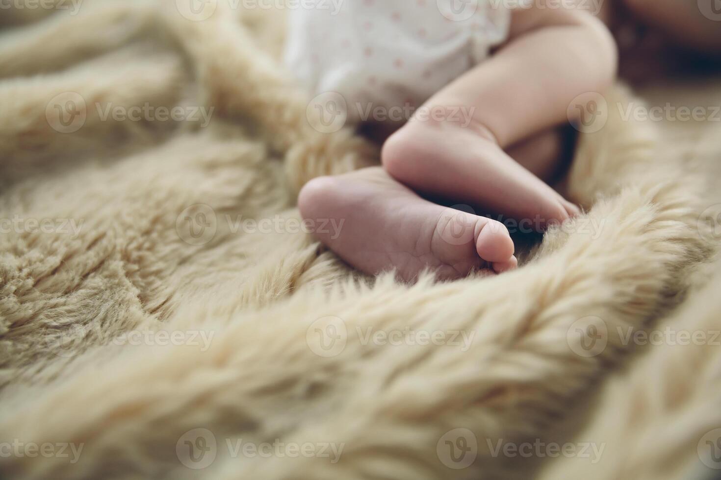Detail of newborn baby feet photo
