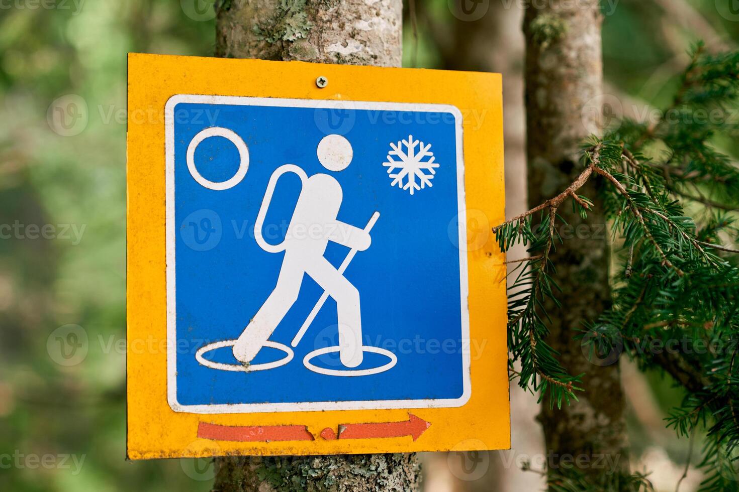 Winter hiking trail sign hanging on a tree in the forest photo
