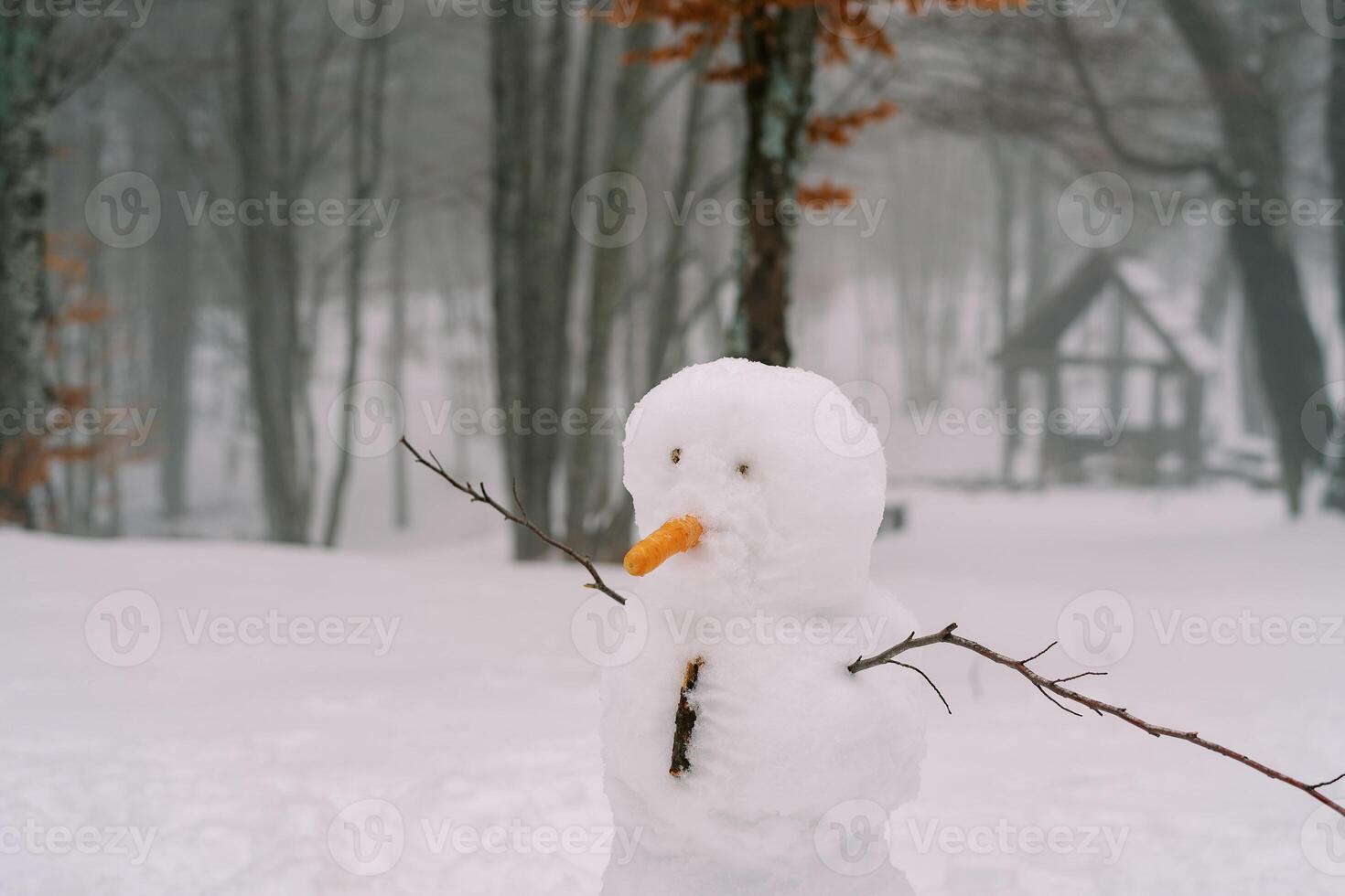 Snowman with twigs-hands stands near a tree in a snowy forest photo