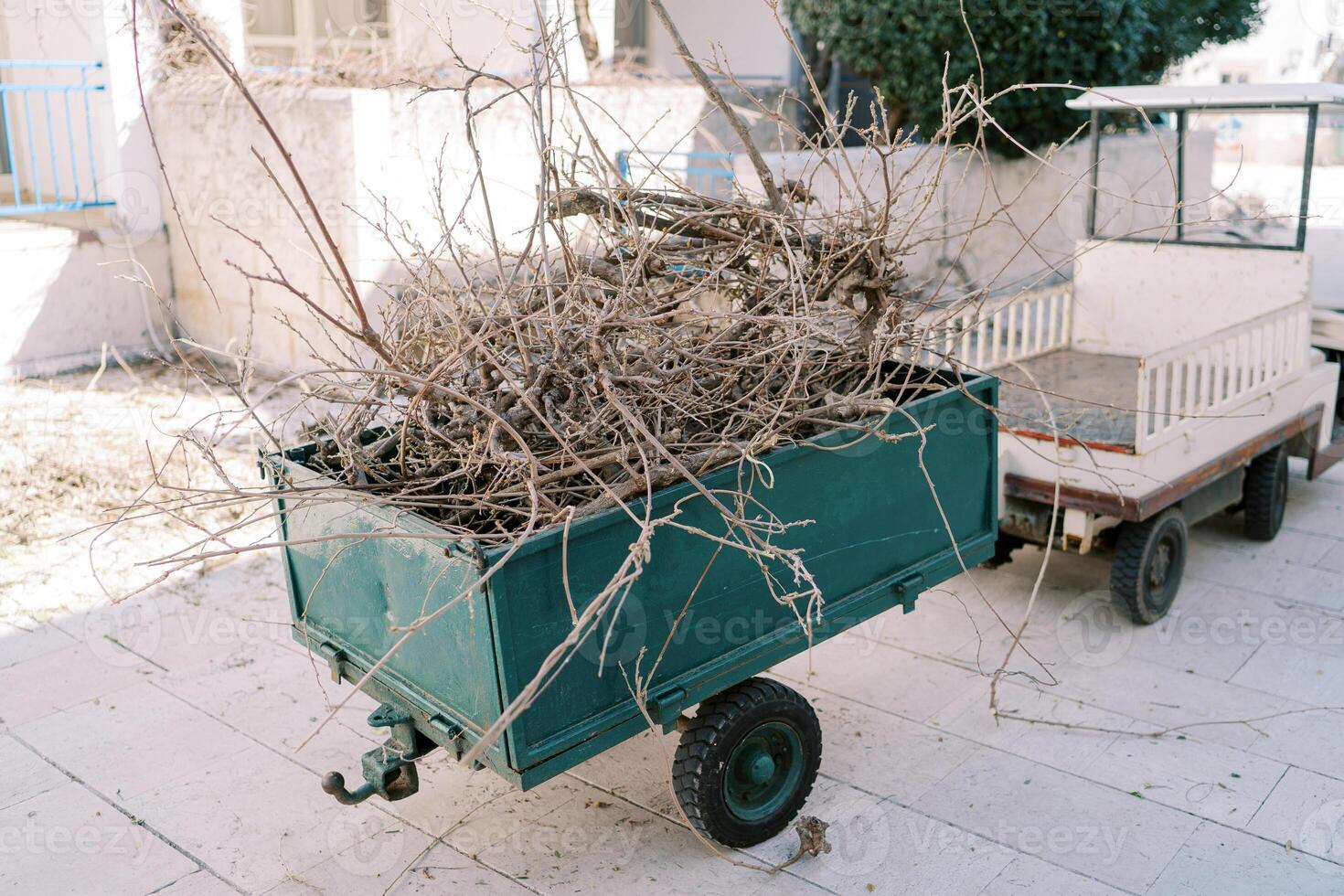 Trimmed dry tree branches lie in the gardener trailer near the house photo