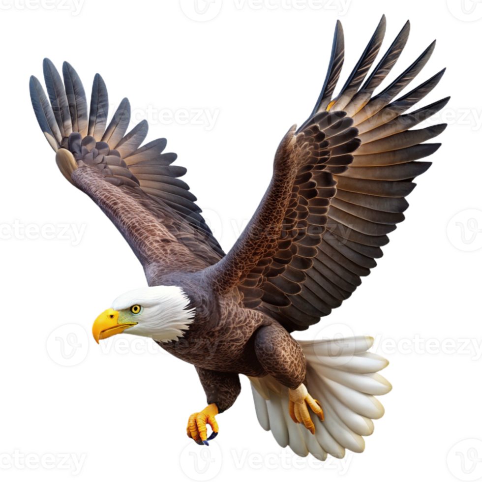 vibrant minimalist A majestic bald eagle soaring through the sky, with sharp focus on its feathers and eyes, photorealistic rendering detailed png