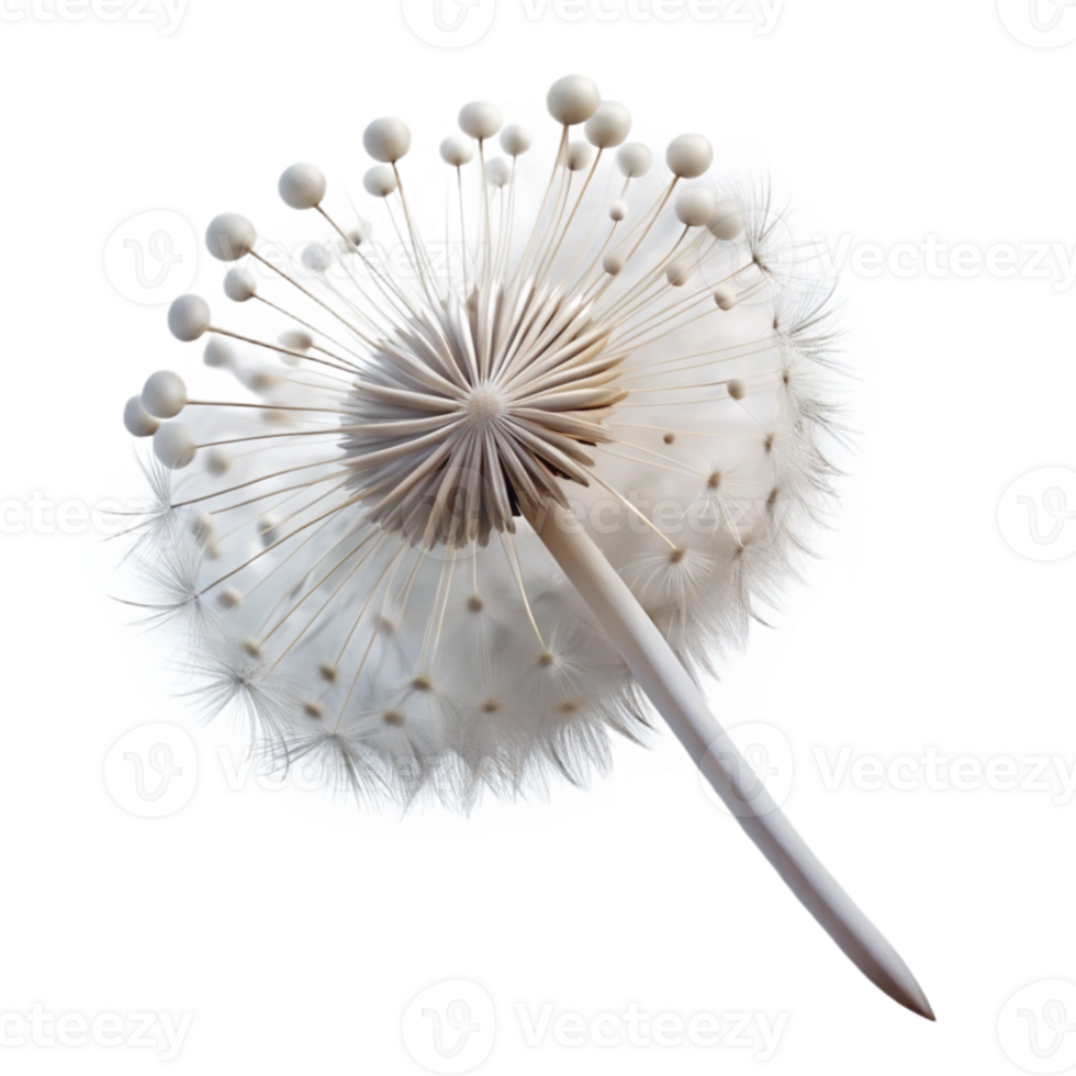 dramatic modern A delicate dandelion seedhead, caught in a gentle breeze, ethereal lighting, soft focus genuine png