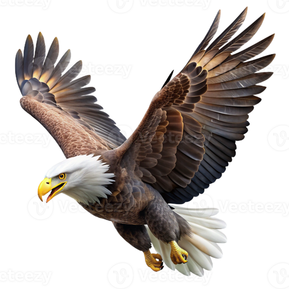 extraordinary abstract A majestic bald eagle soaring through the sky, detailed feathers, bright sunlight, wildlife photography style high resolution png