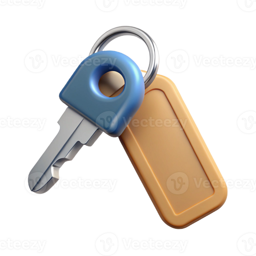 dramatic classic A single key on a plain metal keyring high resolution png