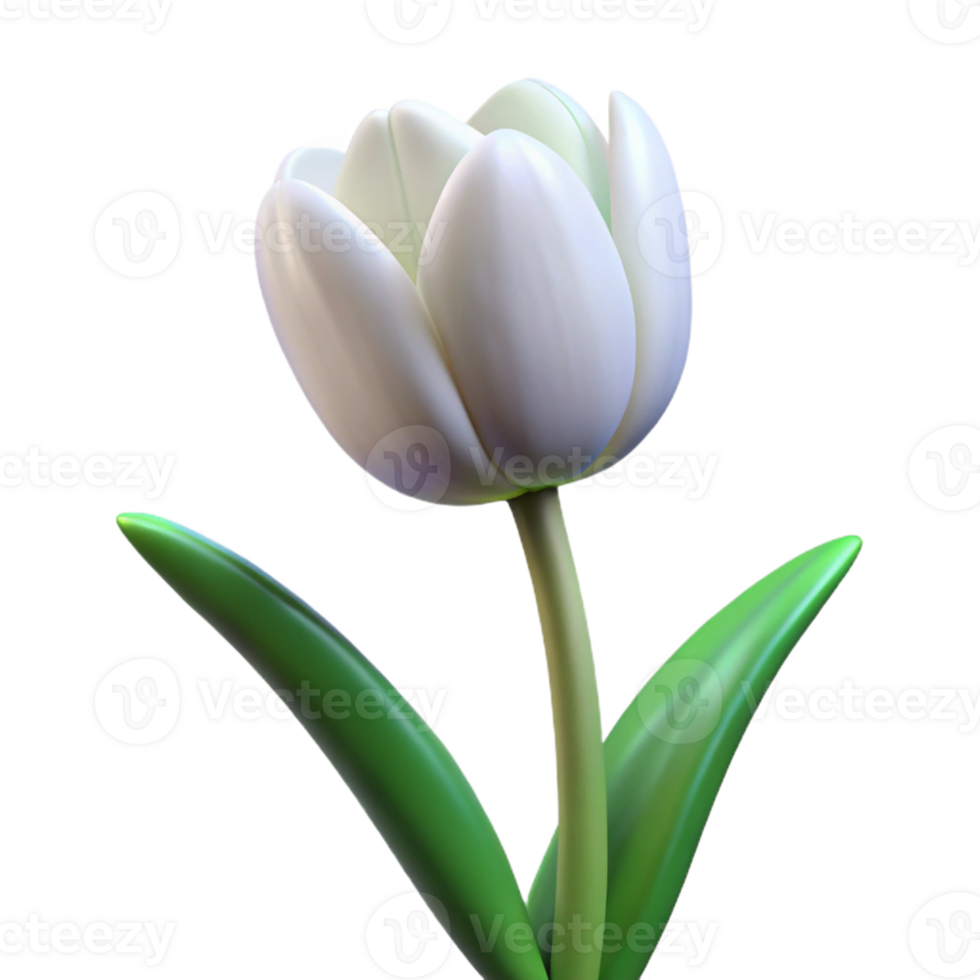 wonderful artistic Single white tulip in full bloom 4K png