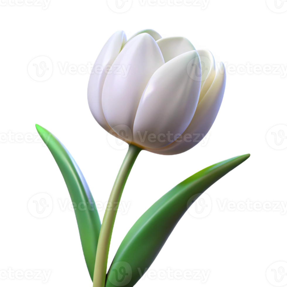 serene contemporary Single white tulip in full bloom authentic png