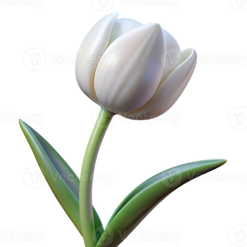 extraordinary modern Single white tulip in full bloom original png