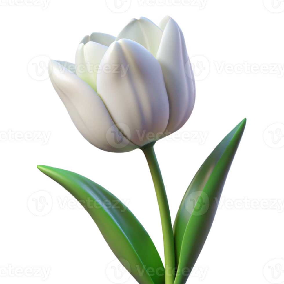 wonderful vintage Single white tulip in full bloom high quality png