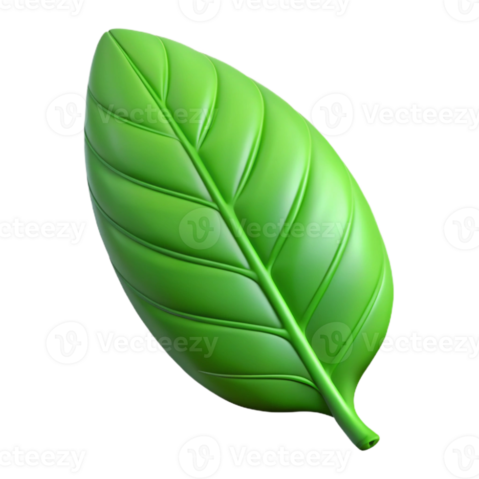 stunning artistic A single, fresh green leaf genuine png