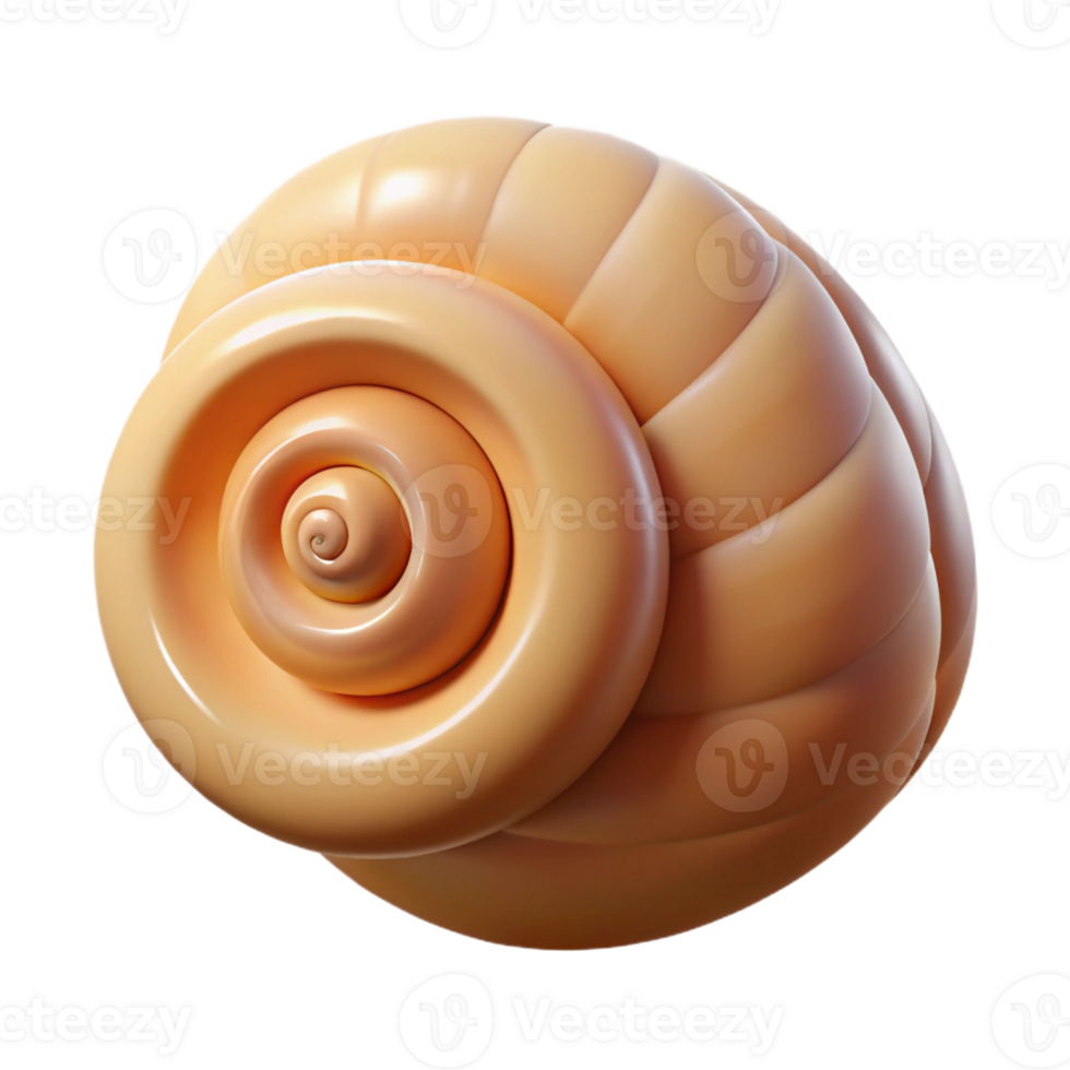 magnificent traditional A single seashell, spiral shaped, professional png