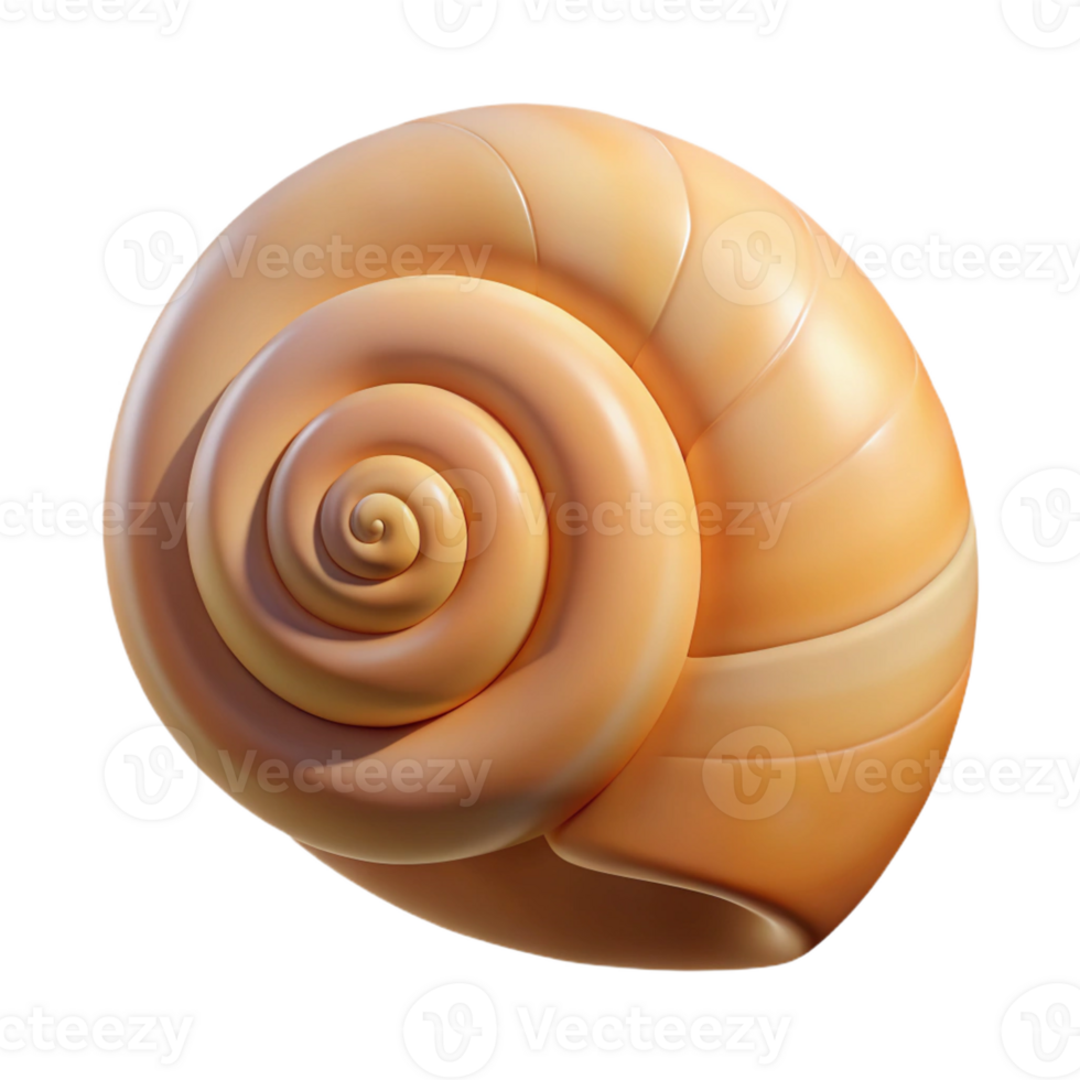 serene modern A single seashell, spiral shaped, exclusive png